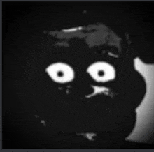 a black and white photo of a cartoon character 's face with big white eyes .