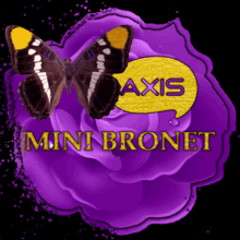 a butterfly is flying over a purple flower with the words mini bronet below it