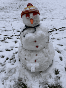 a snowman wearing a knitted hat has a carrot in his mouth