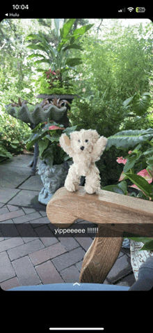 a snapchat of a teddy bear sitting on a wooden bench with the time of 10:04