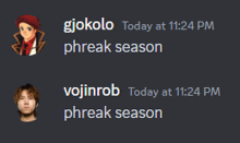 a screenshot of a chat with two people named vojinrob and giokolo