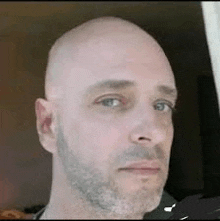 a bald man with a beard is looking at the camera in a close up of his face .