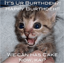 Birthday Meme