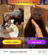 a choose a way to sable screen with a picture of a sable