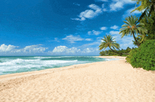 a sandy beach with palm trees and a blue sky in the background