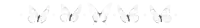 a black and white drawing of a butterfly flying in different directions .