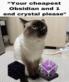a cat sitting next to a minecraft block that says " your cheapest obsidian and 1 end crystal please " on the bottom