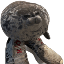 a stuffed seal sitting on top of a pair of gray shoes