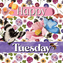a greeting card that says happy tuesday with butterflies and flowers