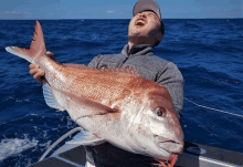 a man on a boat holds a large fish in his hands