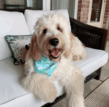 a dog wearing a bandana with unicorns on it