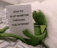 a kermit the frog is laying on a bed holding a book about how to slap someone through the internet .