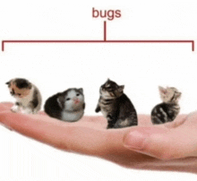 a hand holding four kittens with the word bugs written above them