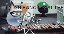 a cat playing a xylophone with the words tristan bangin out the tunes