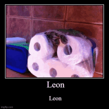 a picture of a cat behind a roll of toilet paper with the name leon on it