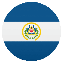 a blue and white flag with a yellow circle with a red triangle in the center