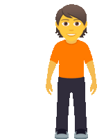 a man in an orange shirt and black pants is standing on a white background