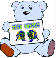 a blue teddy bear holding a sign that says star bright