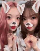 a girl with pink hair and a girl with brown hair are posing for a picture