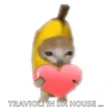 a kitten dressed as a banana is holding a pink heart .