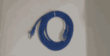 a blue ethernet cable is twisted in a circle