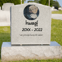 a gravestone with a picture of a boy and the words " hwagf 20xx-2022 can principle bump kill odalia "