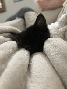 a black kitten laying on a white blanket