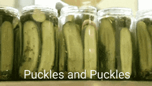 jars of pickles are lined up in a row with the words " pickles and pickles " on the bottom