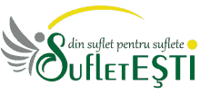 a green and yellow logo that says din sufiet pentru sufite