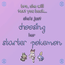 a poster that says bro she will text you back