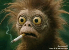 a monkey with big eyes is smoking a cigarette with smoke coming out of it 's mouth