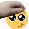 a person is petting a smiley face with a towel on their head .