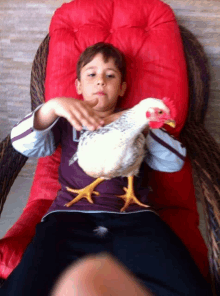 a young boy laying in a chair with a chicken on his lap