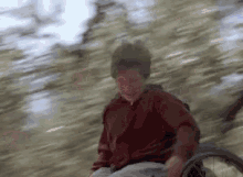 a man in a wheelchair is riding a bike through a forest .