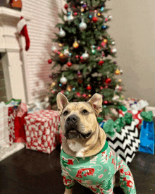 a dog wearing a christmas pajama is standing in front of a christmas tree and presents