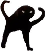 a black cat with glowing eyes is standing on its hind legs on a white background .