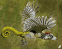 a lizard that looks like a bird with a spiral tail is flying