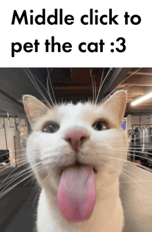 a cat sticking its tongue out with the caption middle click to pet the cat