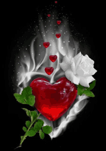 a red heart and a white rose with hearts coming out of it