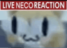 a close up of a cat 's face with the words `` live neco reaction '' written above it .