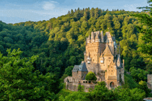 a castle sits on a hill surrounded by trees