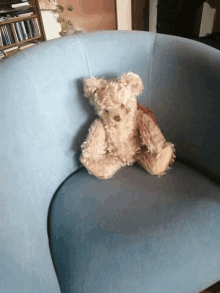 a teddy bear is sitting on a blue couch