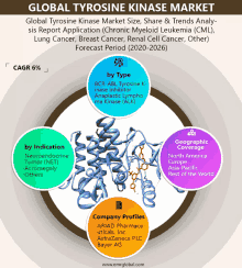 a diagram showing the global tyrosine kinase market size and share & trends