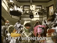a group of stuffed animals are standing in a room with the words `` happy wednesday ! ''