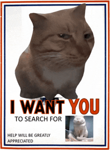 a poster that says " i want you to search for "