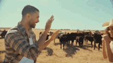 a man and a woman are giving each other a high five in front of a herd of cattle .