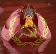 a duck with a star and hammer and sickle on it 's head