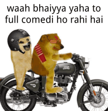 two dogs are riding a motorcycle with the caption waah bhaiya yaha to full comedy ho rahi hai