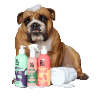 a dog sitting next to bottles of au mi go 's products