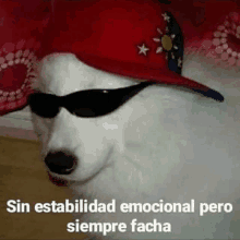 a white dog wearing sunglasses and a red hat with the words sin estabilidad emocional pero siempre facha on it .